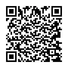 QR-code voor telefoonnummer +2693838332