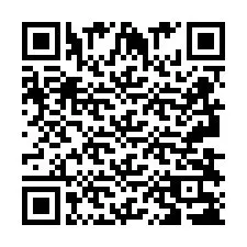 Kod QR dla numeru telefonu +2693838334