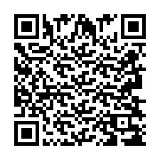 Kod QR dla numeru telefonu +2693838336