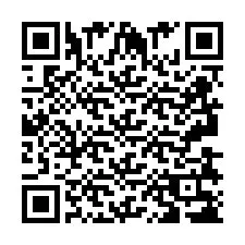 QR-код для номера телефона +2693838340