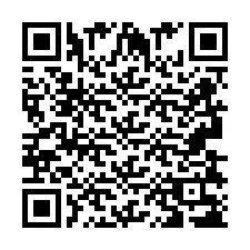 QR Code pour le numéro de téléphone +2693838347