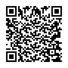 QR код за телефонен номер +2693838359