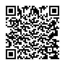 QR-код для номера телефона +2693838369