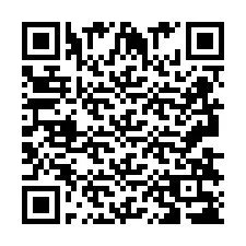 QR код за телефонен номер +2693838371