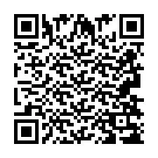 QR-код для номера телефона +2693838377