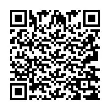 QR-код для номера телефона +2693838378