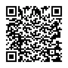 Codice QR per il numero di telefono +2693838380