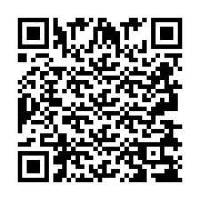 QR-код для номера телефона +2693838388