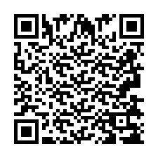 QR код за телефонен номер +2693838395