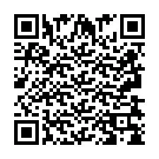 QR-Code für Telefonnummer +2693838404