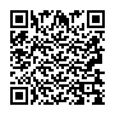 QR код за телефонен номер +2693838405