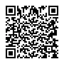 QR код за телефонен номер +2693838412