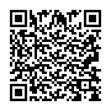 Código QR para número de teléfono +2693838425