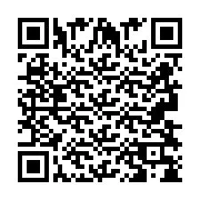 Codice QR per il numero di telefono +2693838427