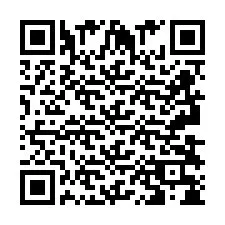 QR код за телефонен номер +2693838434