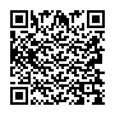 QR-Code für Telefonnummer +2693838446