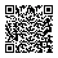 Kod QR dla numeru telefonu +2693838451