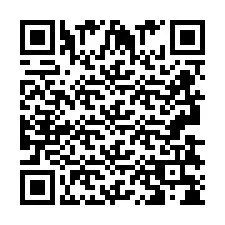 QR код за телефонен номер +2693838455