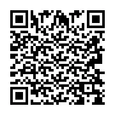 QR-код для номера телефона +2693838462