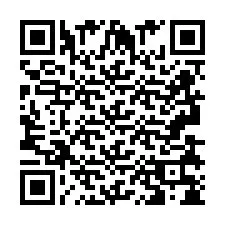 QR-code voor telefoonnummer +2693838485