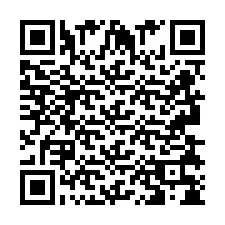 Kod QR dla numeru telefonu +2693838486