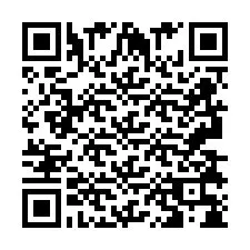 QR код за телефонен номер +2693838499