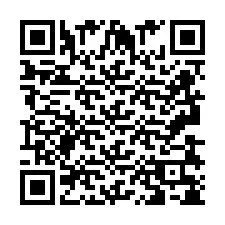 QR-Code für Telefonnummer +2693838501