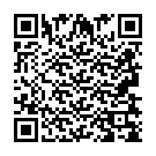 QR-koodi puhelinnumerolle +2693838507