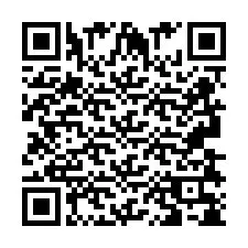 QR kód a telefonszámhoz +2693838513