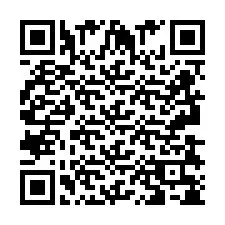 Código QR para número de teléfono +2693838514