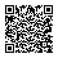 QR-Code für Telefonnummer +2693838574