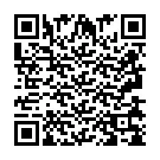 QR kód a telefonszámhoz +2693838580