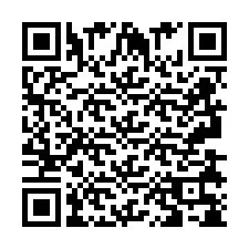 QR-Code für Telefonnummer +2693838584