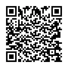 QR-Code für Telefonnummer +2693838598