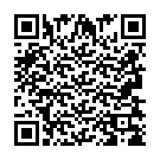 QR-code voor telefoonnummer +2693838607