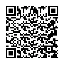 QR-Code für Telefonnummer +2693838621