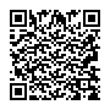 QR-code voor telefoonnummer +2693838625