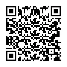 QR-code voor telefoonnummer +2693838635