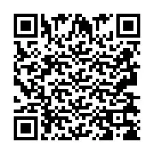 QR kód a telefonszámhoz +2693838689