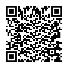 QR Code pour le numéro de téléphone +2693838695