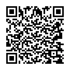 QR Code pour le numéro de téléphone +2693838728