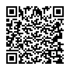 QR код за телефонен номер +2693838743