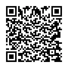 QR код за телефонен номер +2693838749