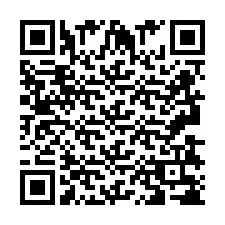 QR-код для номера телефона +2693838751