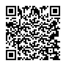 Codice QR per il numero di telefono +2693838763