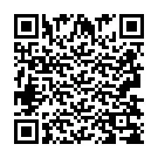 QR-код для номера телефона +2693838765