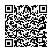 Codice QR per il numero di telefono +2693838780