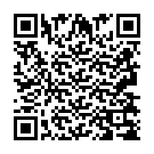 Codice QR per il numero di telefono +2693838799