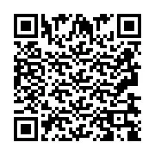 QR Code สำหรับหมายเลขโทรศัพท์ +2693838801