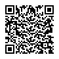 QR-Code für Telefonnummer +2693838848